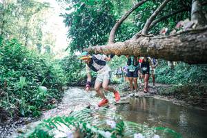 BIB: 
                            <button type="button" onclick="openModal(25443077)" class="btn btn-primary btn-sm float-right btn-popup" data-toggle="modal" data-target=".modal-high-quality">
                        <i class="fas fa-shopping-cart"></i> Add to Cart
                    </button>
                                            <button type="button" onclick="isThisMe(25443077, true)" class="btn btn-success btn-sm float-right btn-popup btn-isme hidden" data-toggle="tooltip" data-placement="bottom" title="นี่คือรูปของคุณใช่ไหม คลิกที่นี่เพื่อเอาเข้าอัลบั้ม">
                        <i class="fas fa-plus"></i> Add to album
                    </button>
                    <button type="button" onclick="isThisMe(25443077, false)" class="btn btn-warning btn-sm float-right btn-popup btn-isnotme hidden">
                        <i class="fas fa-ban"></i> Remove from album
                    </button>